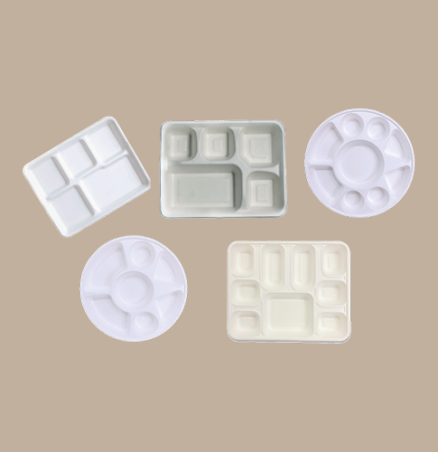 Bagasse Compartment Tray