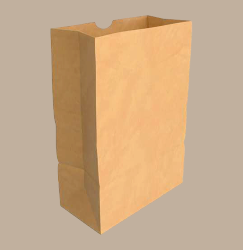 Take-Out Grocery Bags