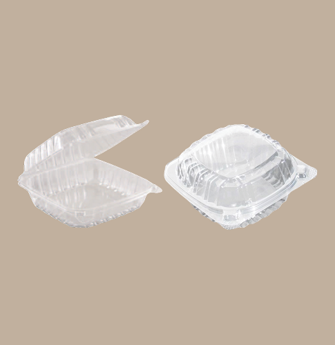 Clear Hinged Plastic Container